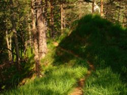 2013-07-13_Regina-F-Rau_Sonnenspitze3 (137).JPG